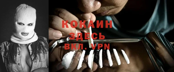 спайс Алексин