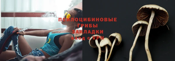 каннабис Алзамай