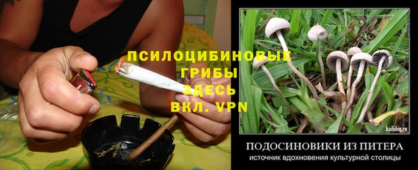 спайс Алексин