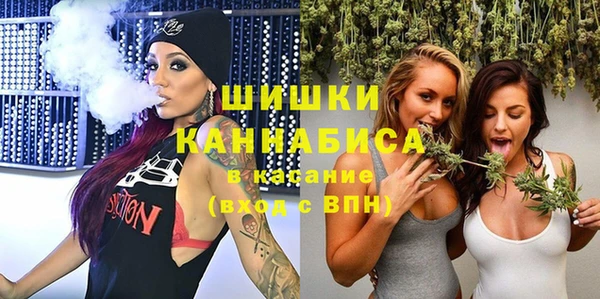 дмт Сатка