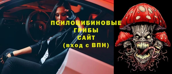 спайс Алексин
